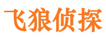 琼山飞狼私家侦探公司